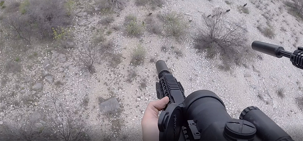 Have You Ever Gone Helicopter Hog Hunting?