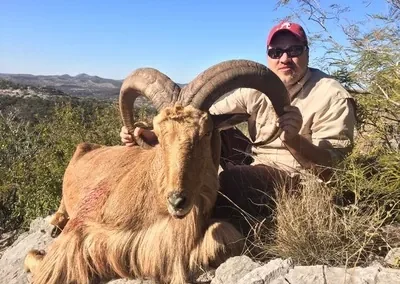 Texas Exotics Hunting