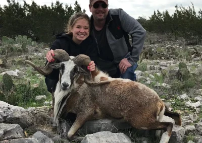 Texas Exotics Hunting