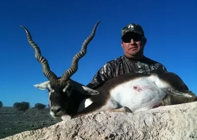 Texas Exotics Hunting