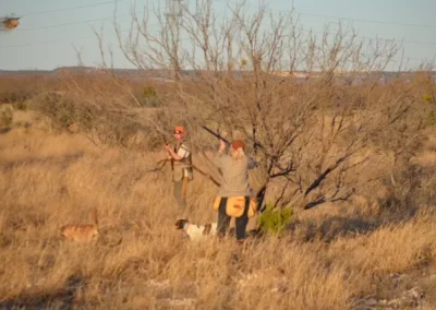Texas Blue & Bobwhite Quail Hunt